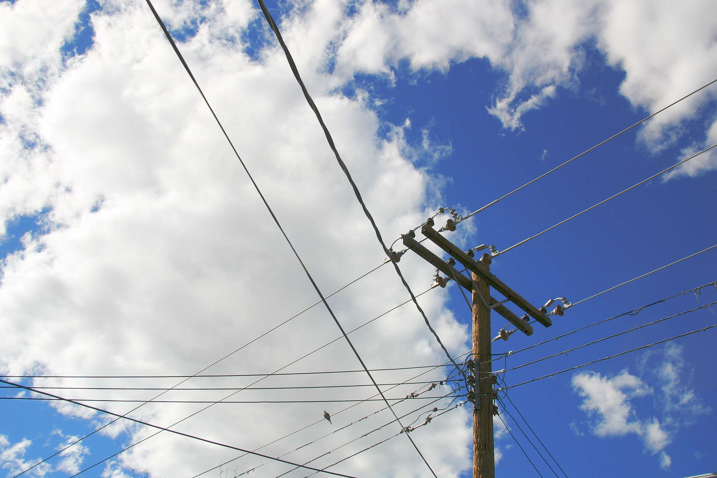 Thousands of Coop Utility Poles to be Checked for Safety Delaware